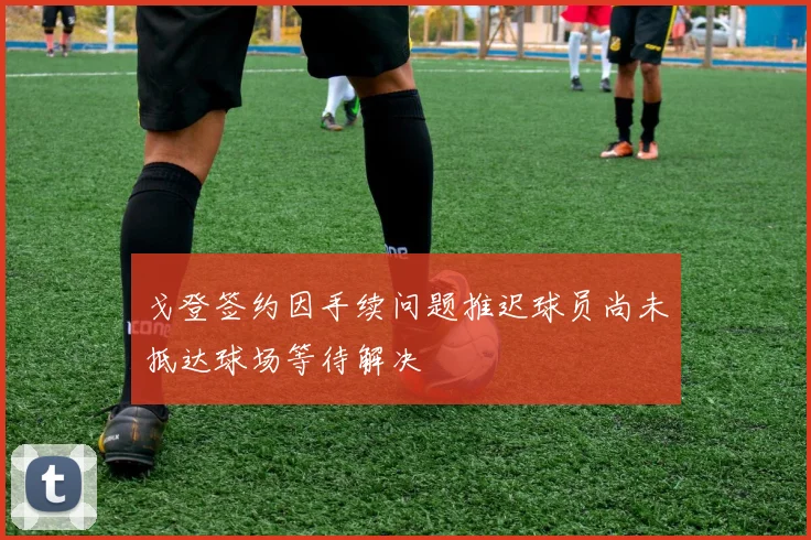戈登签约因手续问题推迟球员尚未抵达球场等待解决